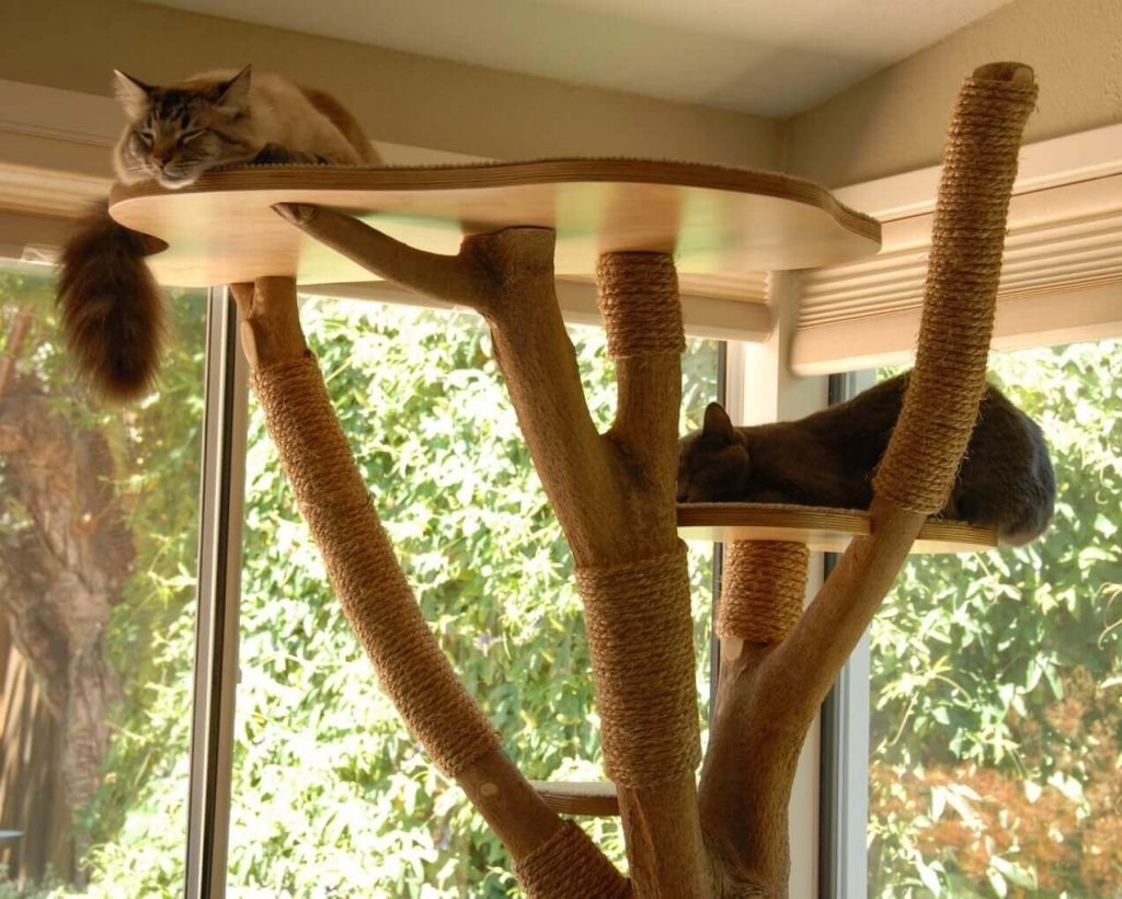 Необычные домики для кошек своими руками и не только