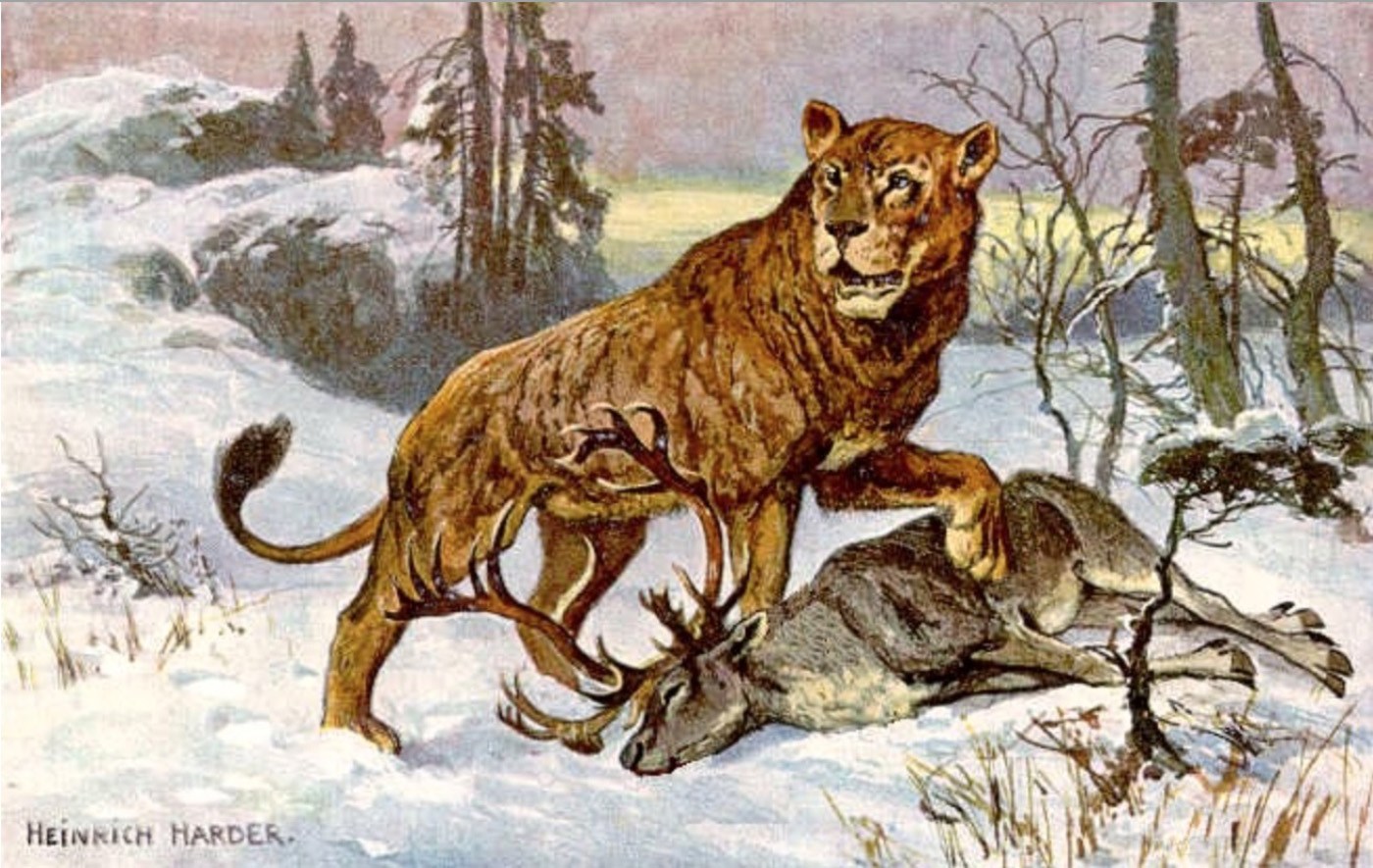 Мосбахский Лев