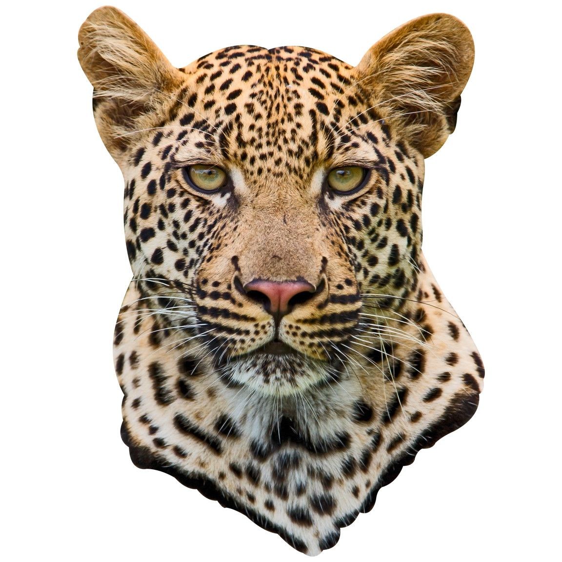 Голова леопарда