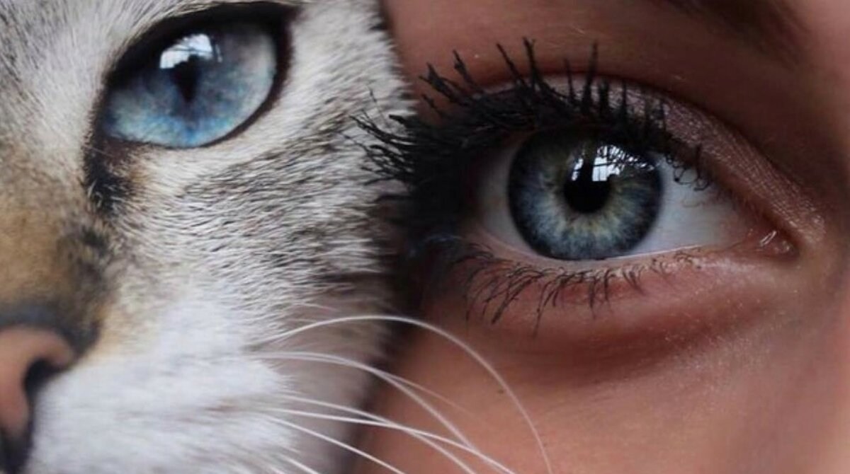 Девушка с глазами кошки