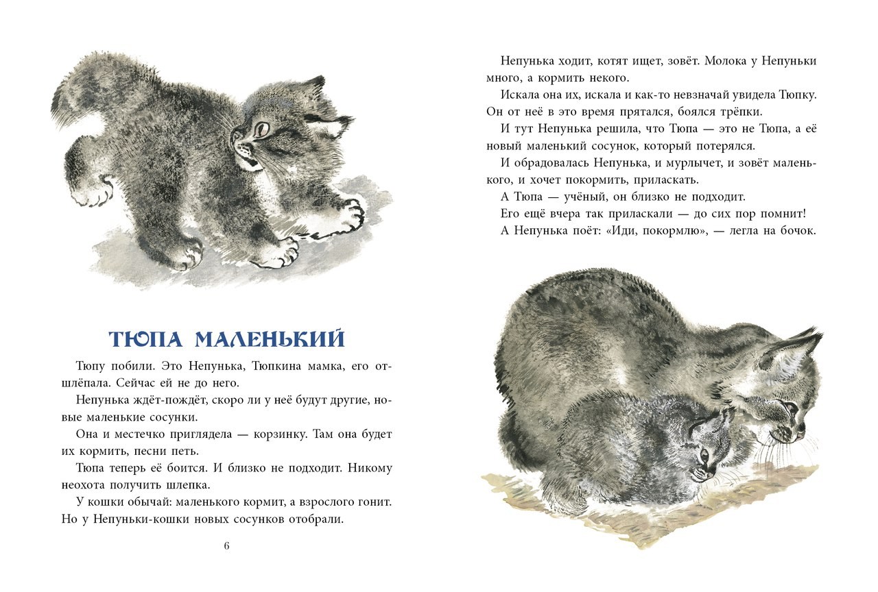 В каких произведениях есть котенок. Рассказы Чарушина для дошкольников о животных. Чарушин рассказы о животных 4 класс.