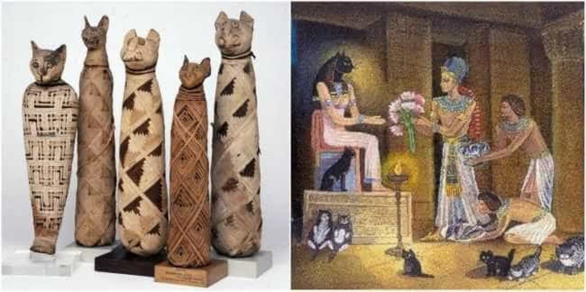 В египте поклонялись кошкам. Поклонение кошкам в древнем Египте. Почитание кошек в древнем Египте. Культ кошек в древнем Египте. Одомашнивание кошки в древнем Египте.