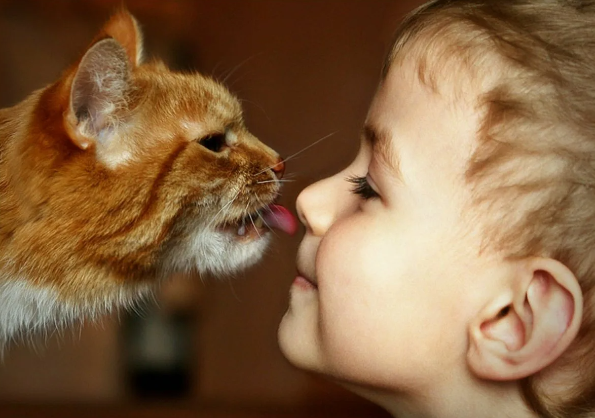 Ребенок не любит животных. Дети с животными. Для детей. Животные. Котёнок-ребёнок. Кошка для детей.