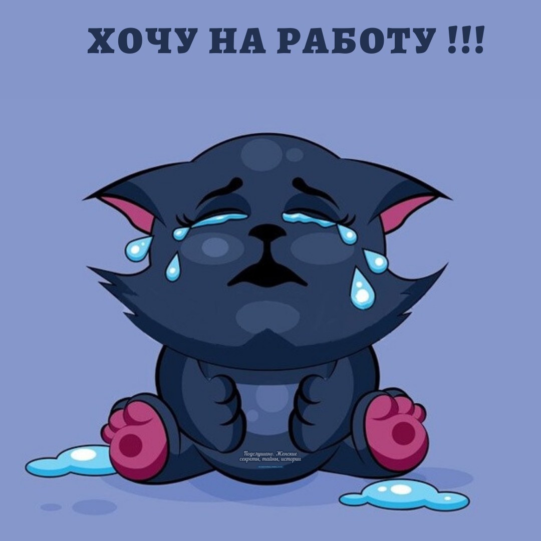 Плачущий кот