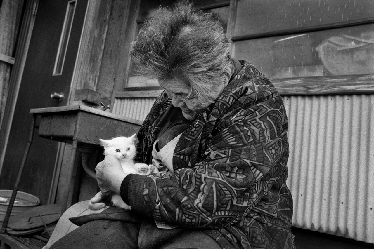 Душераздирающая история. Старушка с котом. Бабушка с котенком. Пожилая женщина с котом. Старушка с котенком.