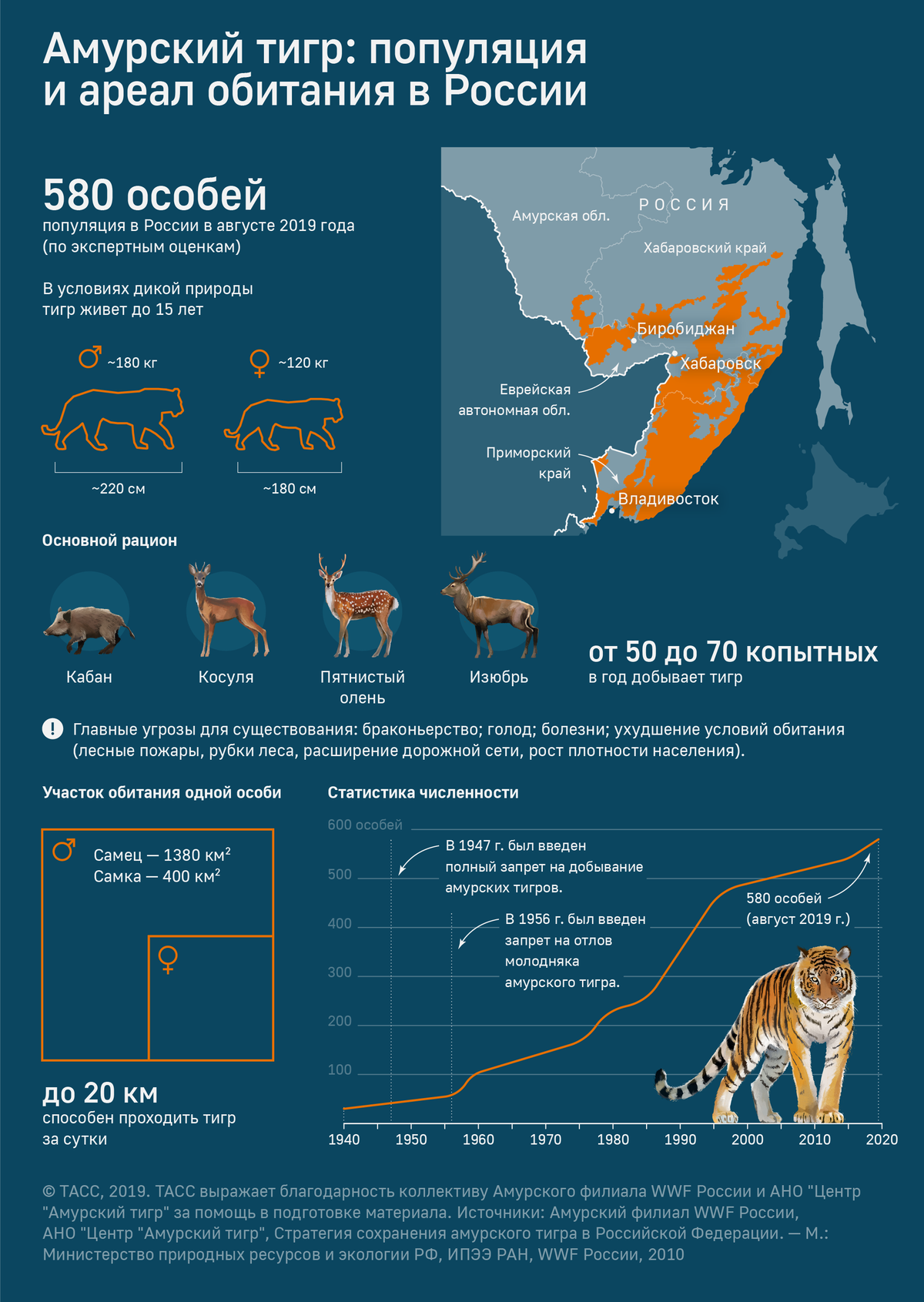 Амурский тигр ареал обитания.