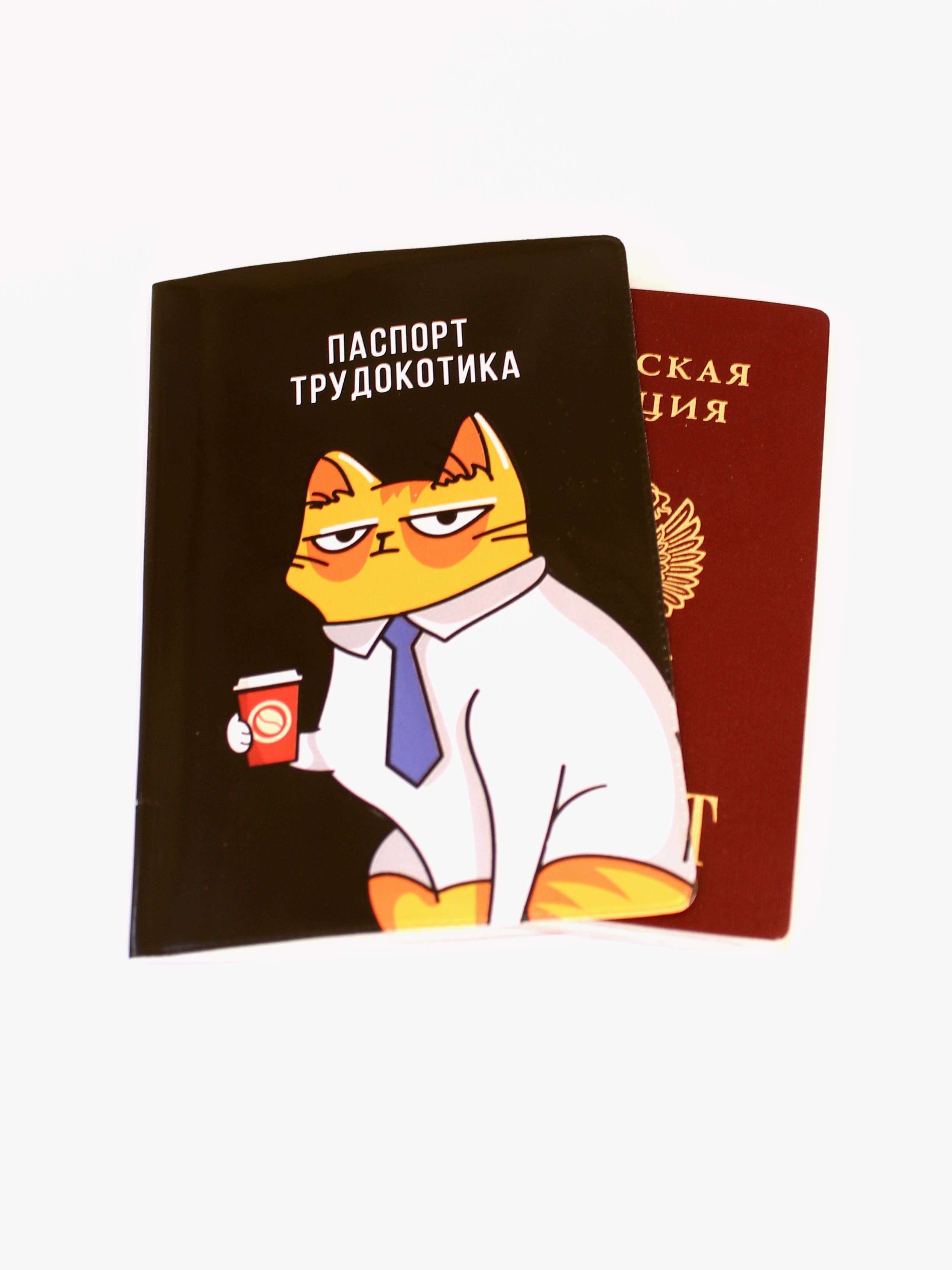 Обложка для паспорта кот