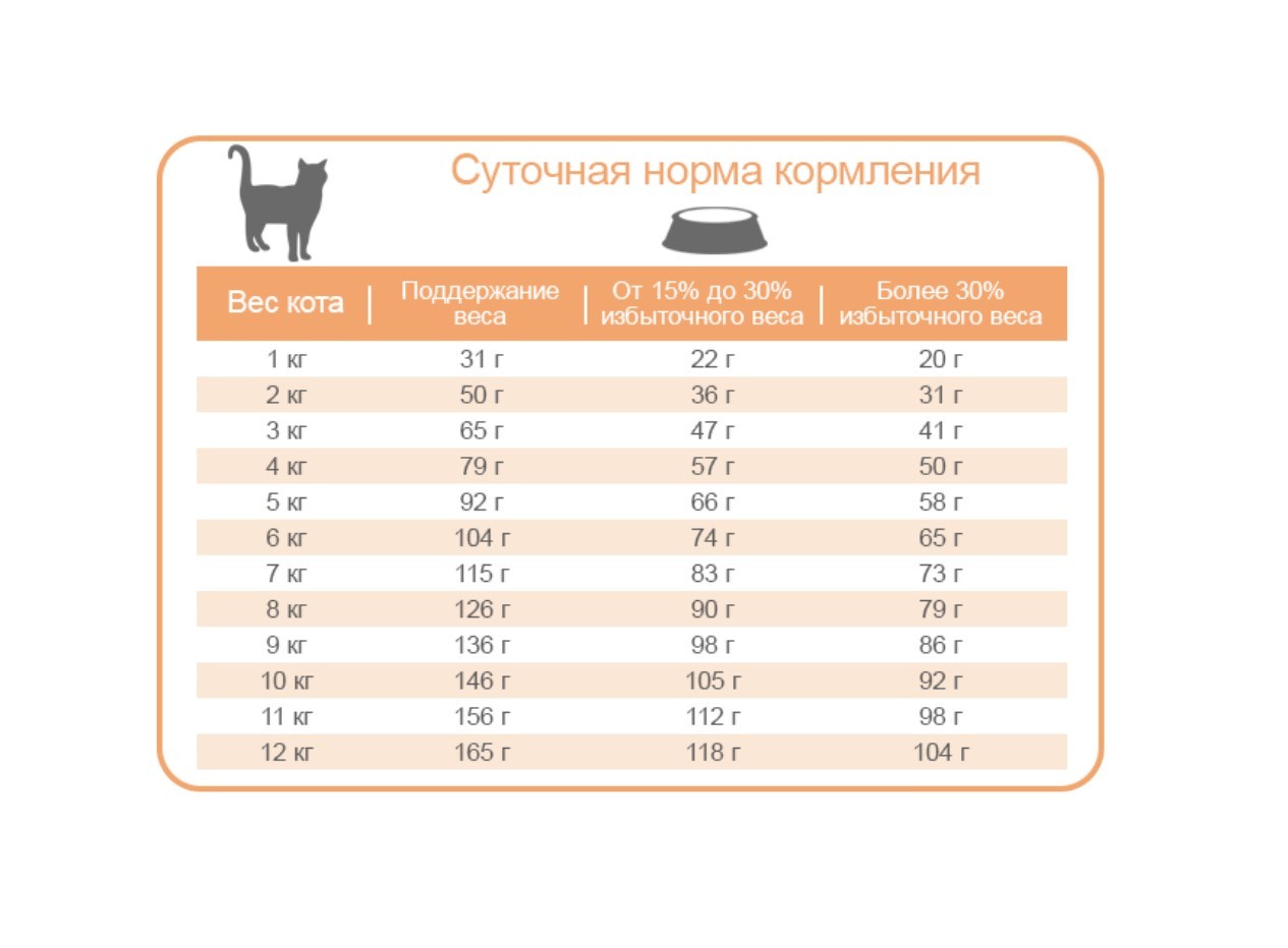 Суточная норма корма для кошек - картинки и фото koshka.top