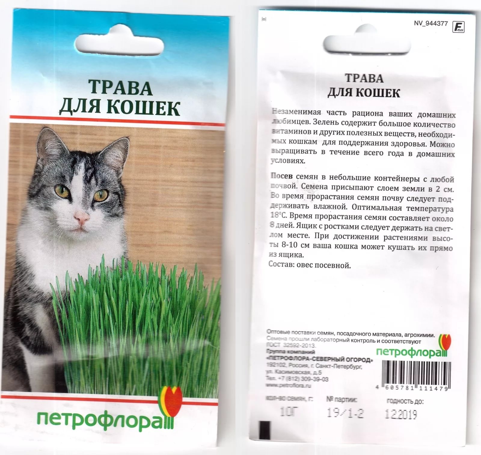 Можно коту семечки. Семена кошачьей травы. Кот на травке. Травка для котов. Выращивать траву для кошек.