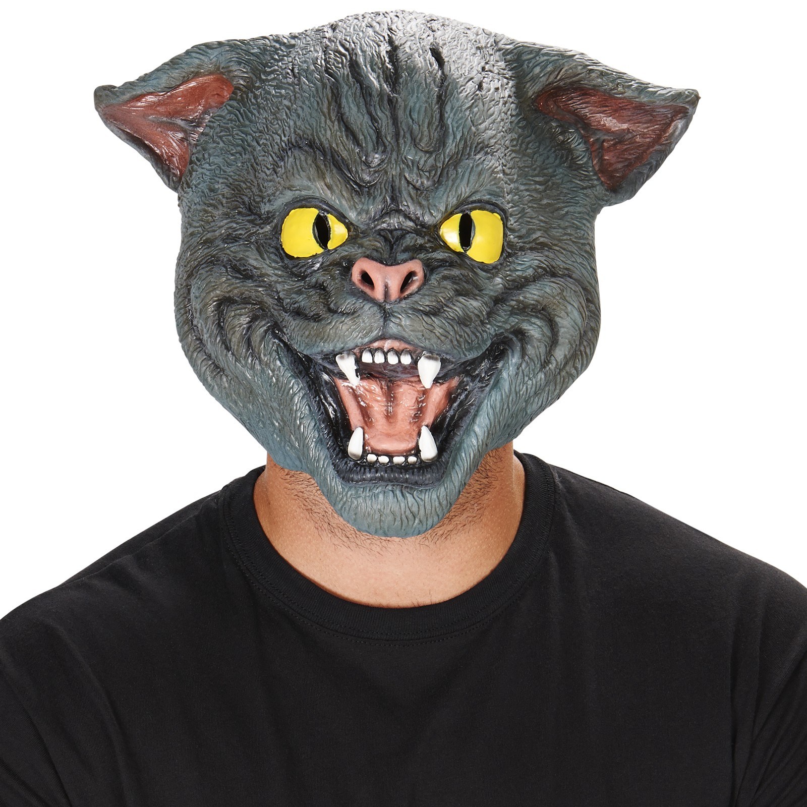 Выступление кота в маске. Маски. Котик. Маски котов. Реалистичная маска кота. Маска кота для Хэллоуина.