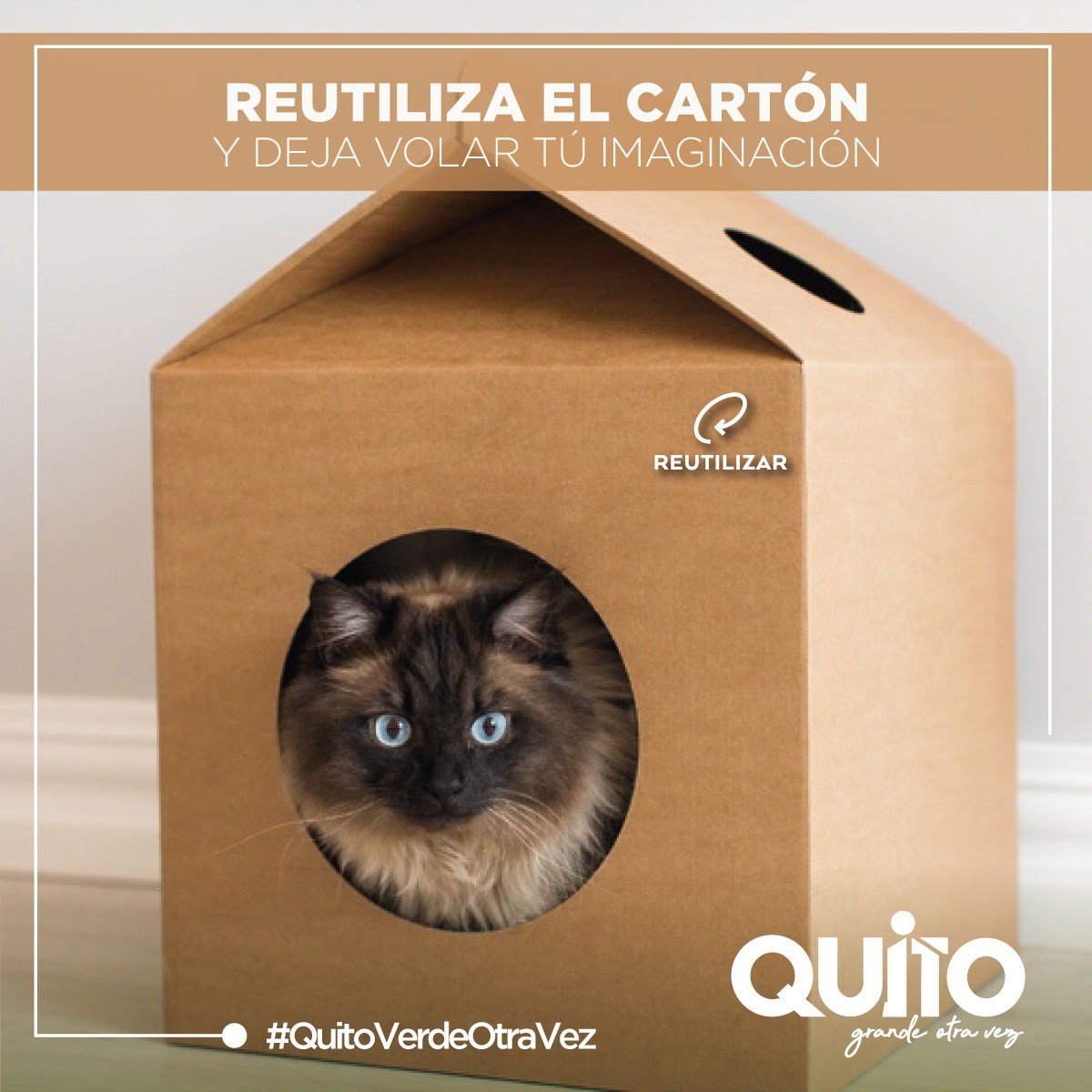 Домик для кошки своими руками из коробки. Домик для кошки из коробки. Домик для кошки из коробок. Картонные домики для котов. Картонный домик для кота.