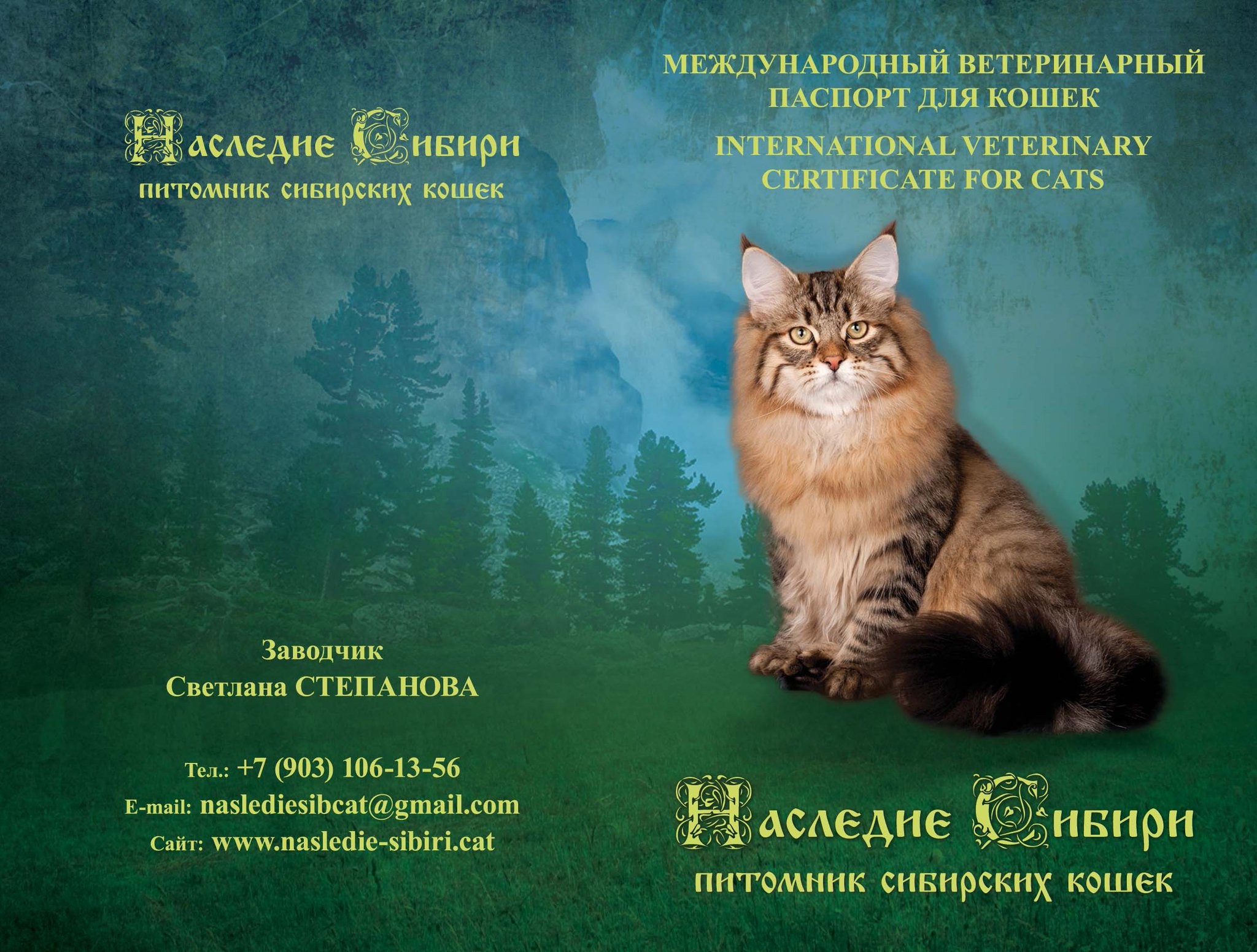 Обложка на ветеринарный паспорт для кошки