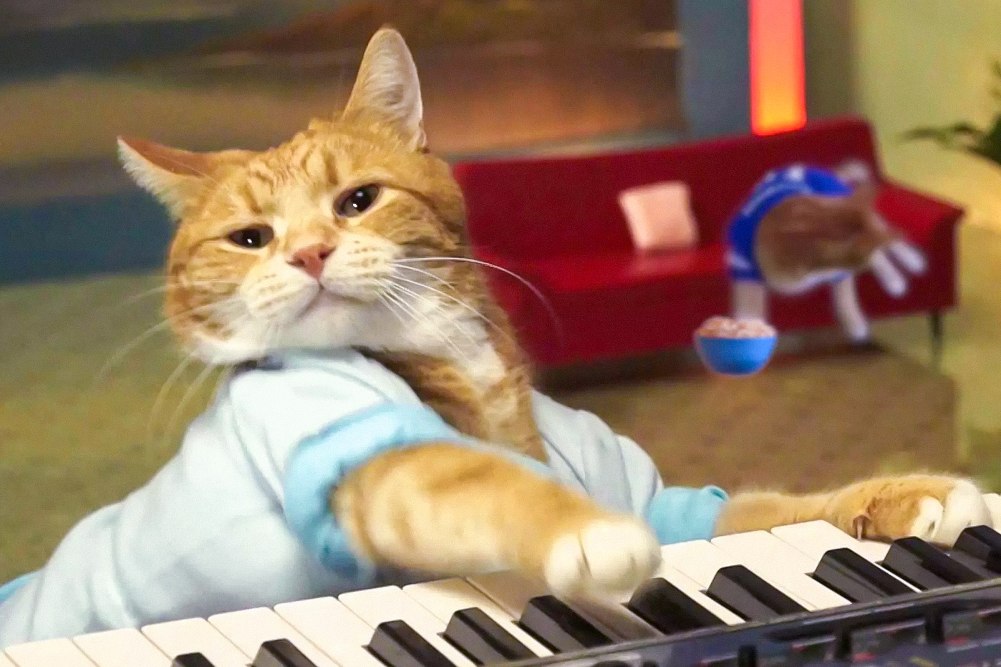 Пианино мемы играть. Кейборд Кэт. Кот пианист Бенто. Кот пианист. Кот на пианино.