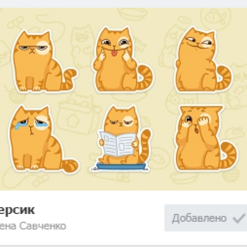 Кот персик валяние
