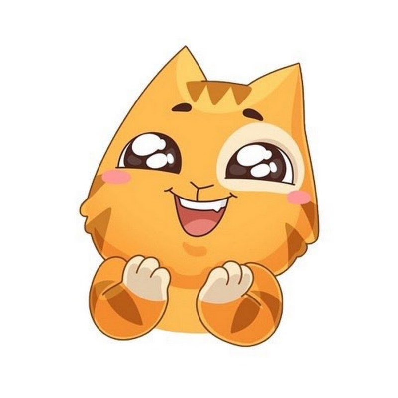 Кот персик с гантелями