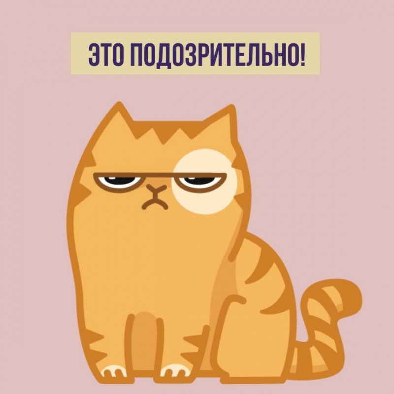Стикеры ВК коты