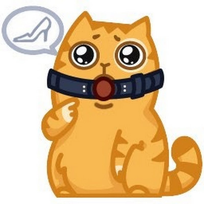 Кот из ВКОНТАКТЕ