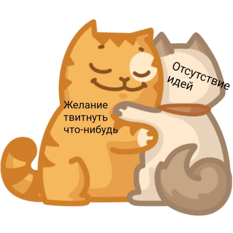 Кот персик