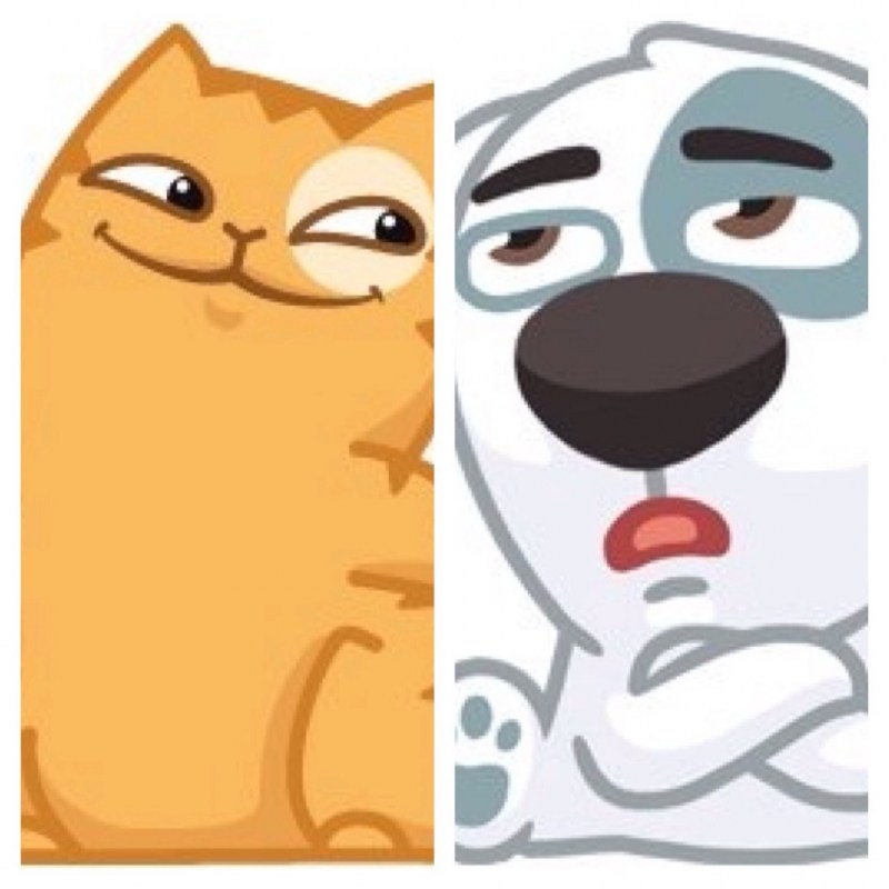 Кот персик валяный