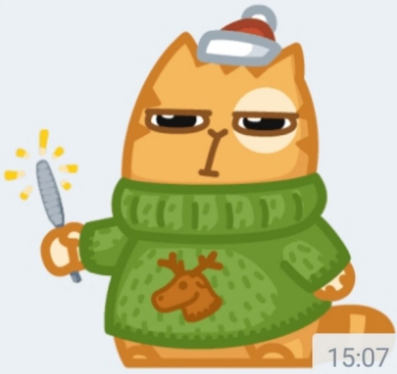Кот персик обои