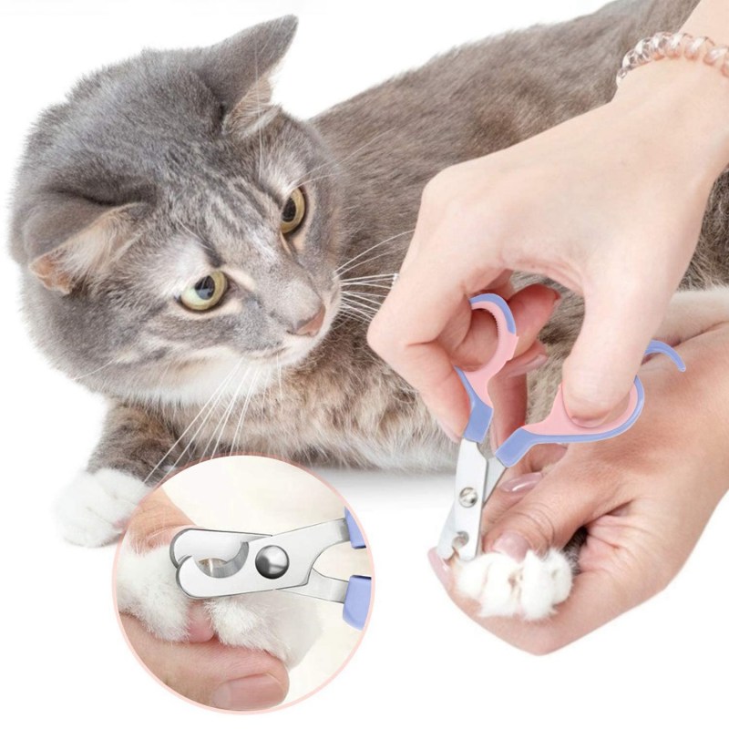 Подстригание когтей коту