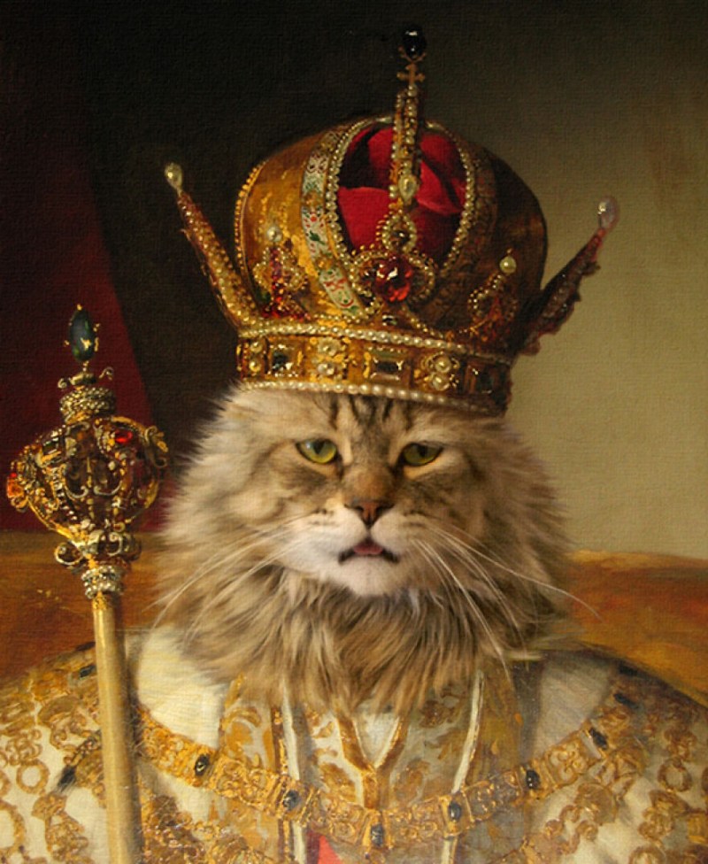 Портрет кота Алексея Михайловича царя
