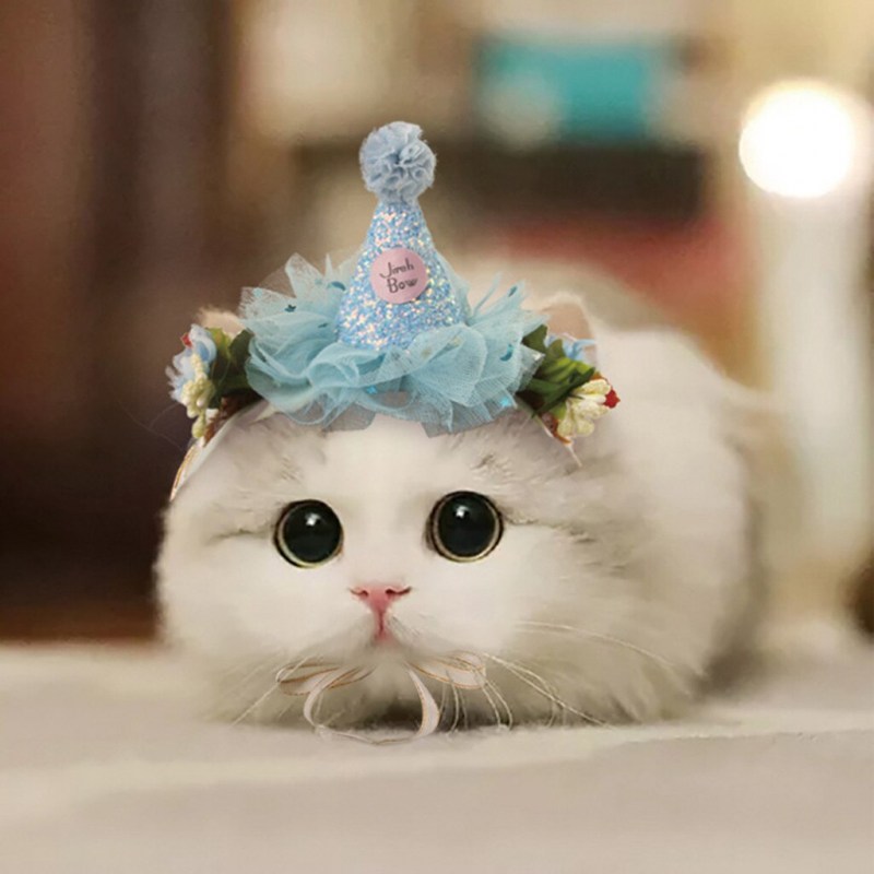 Милый котенок с бантиком