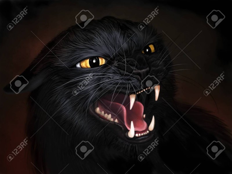 Кот тьмы