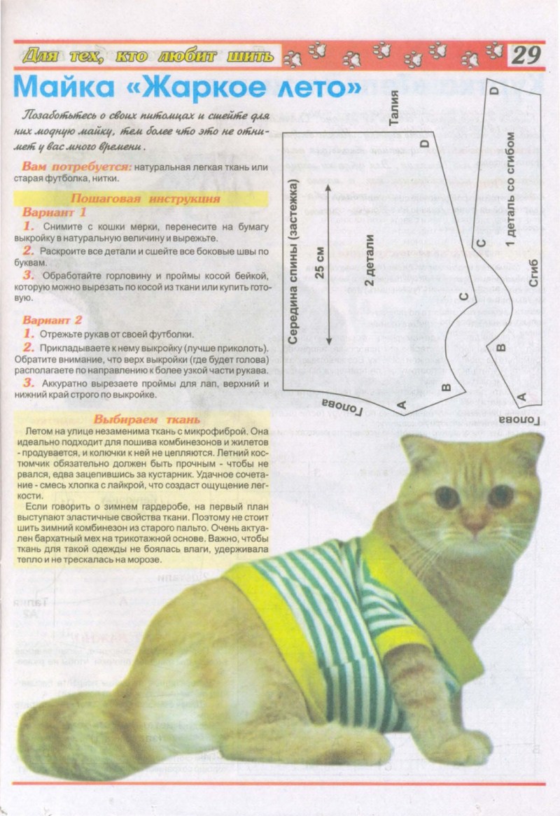 Одежда для кошек своими руками - картинки и фото steklorez69.ru