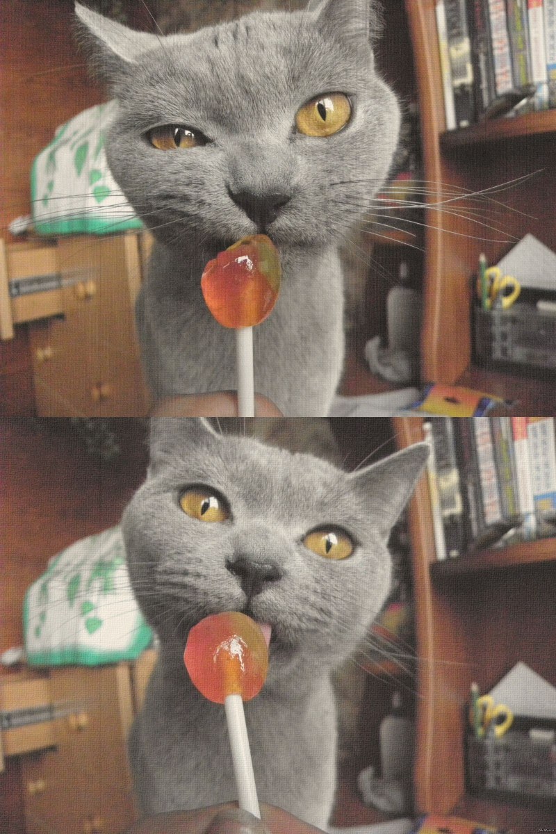 Тортик для котика