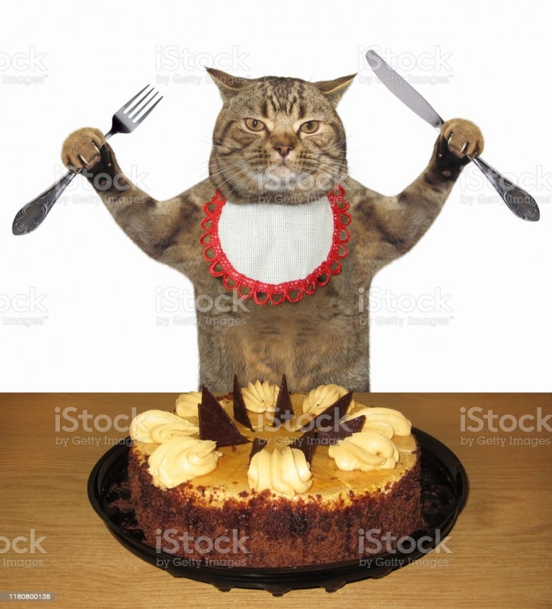 Торт с котятами