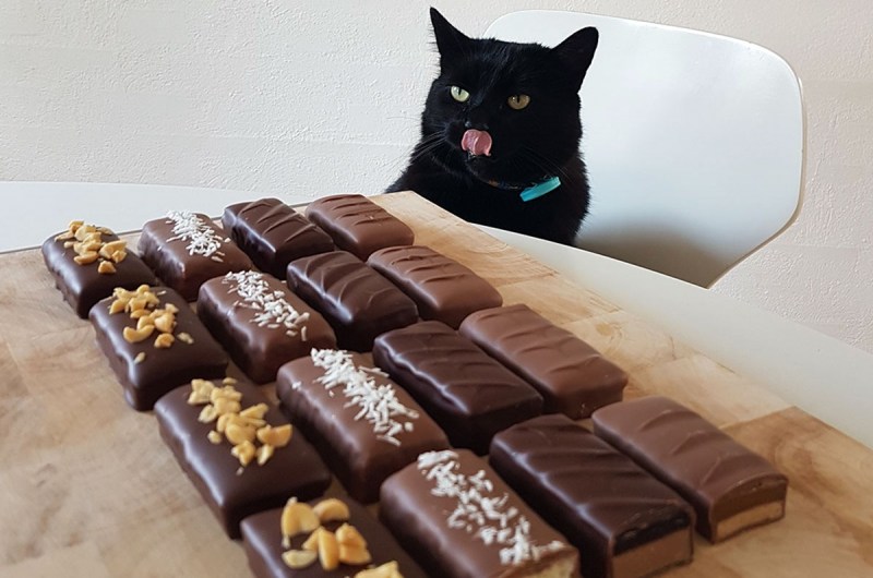 Кошачьи конфеты