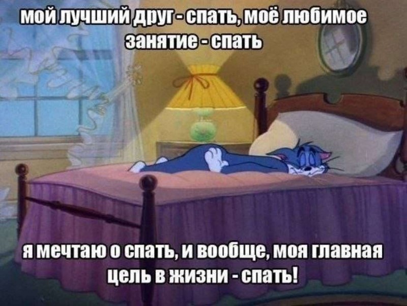 Кот смешно спит
