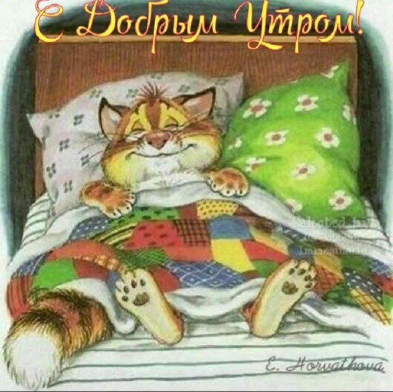 Кот ложится спать