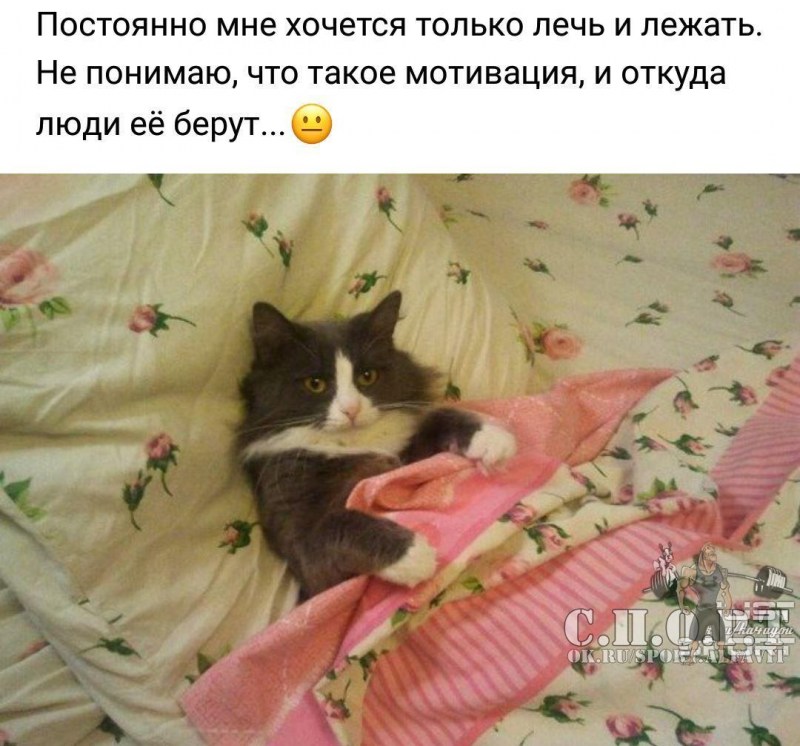 Я люблю спать прикол
