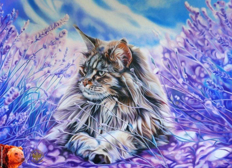 Кот с лавандой арт
