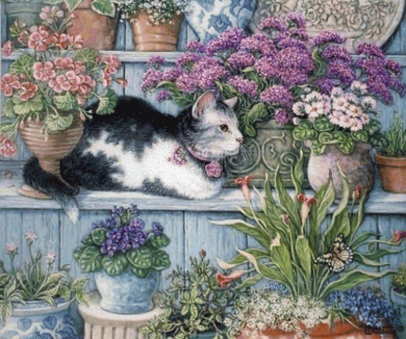 Кэрол Каваларис кот