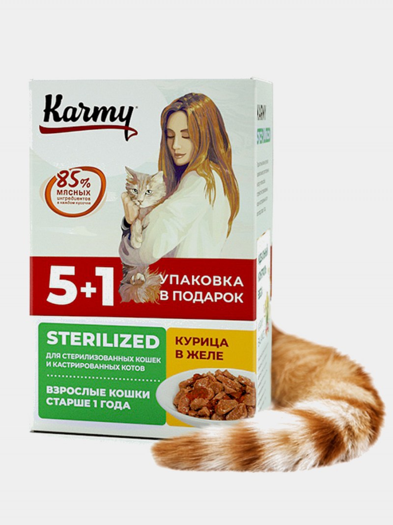 Влажный корм для кошек Brit, 80 г