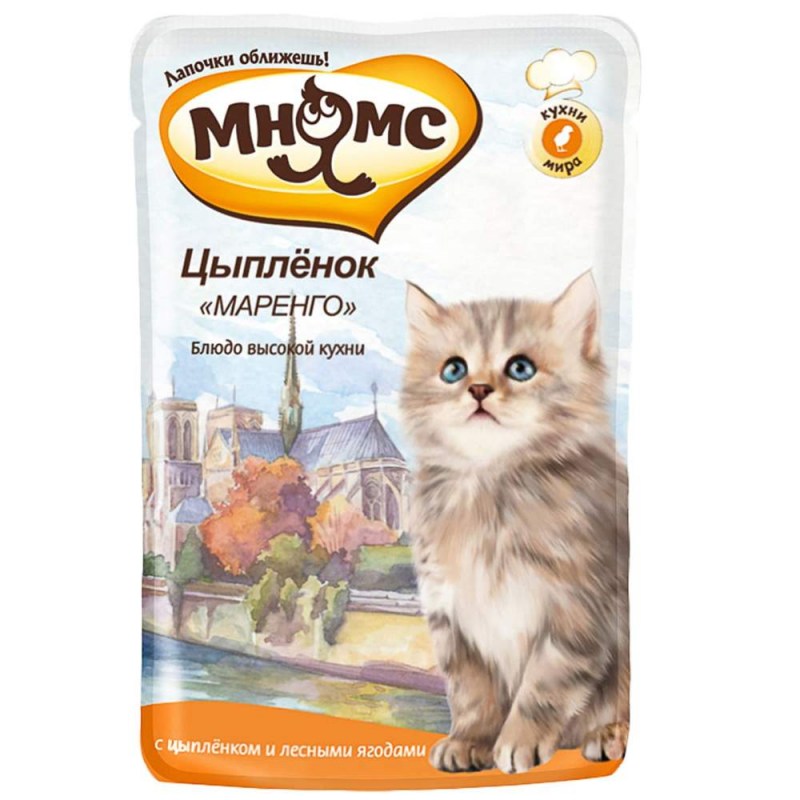 Корм кошачий Пурина пауч