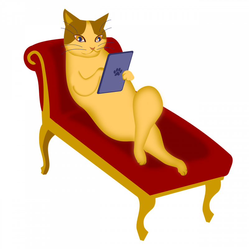 Диван кошка