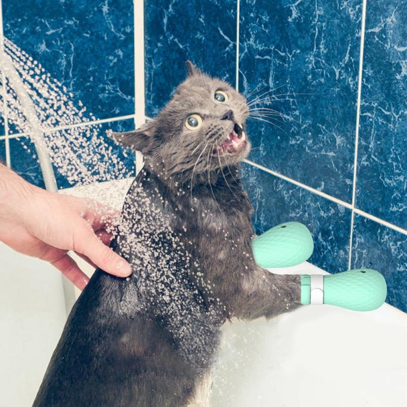 Кот под душем