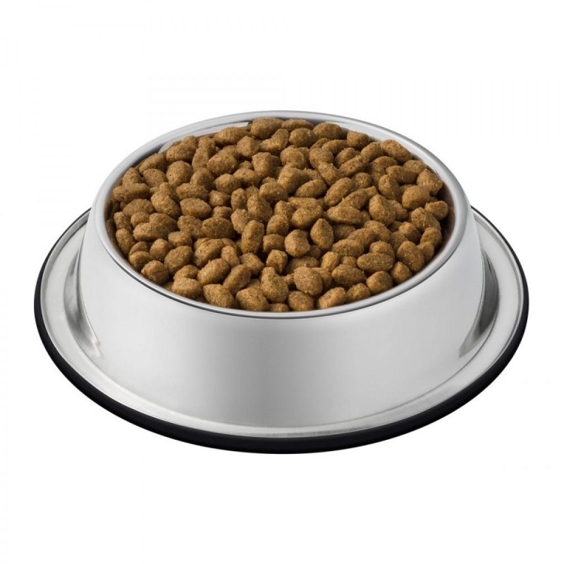 Кошачий корм Cat food