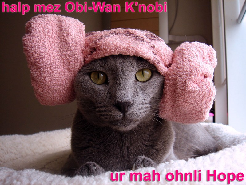 Шумные соседи сверху