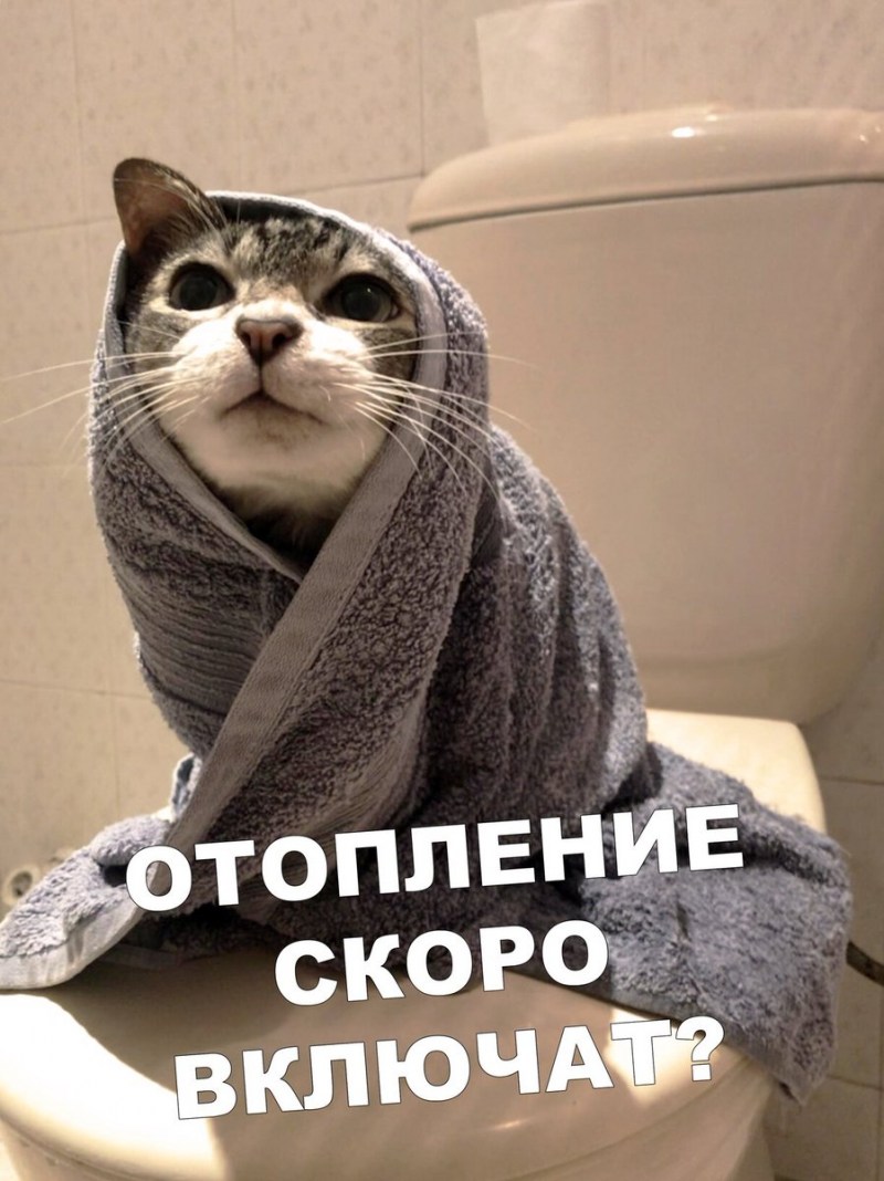 Полотенце с кошками