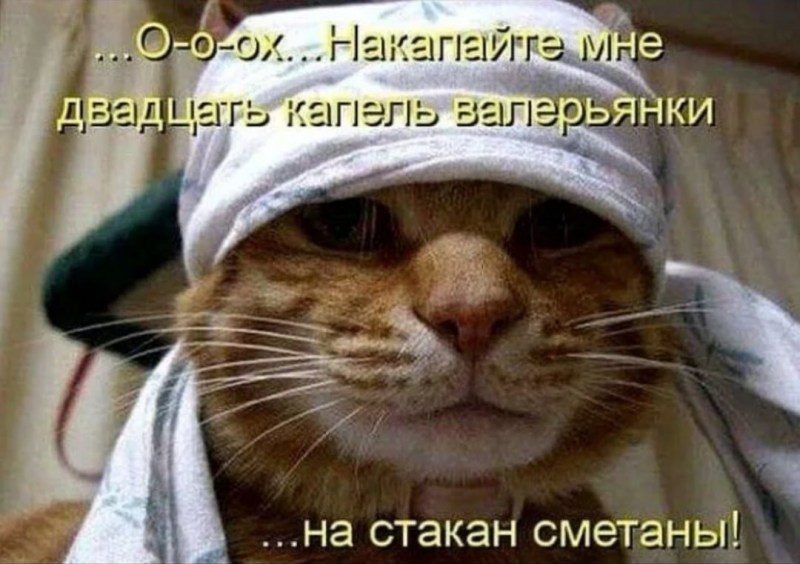Голова болит прикол