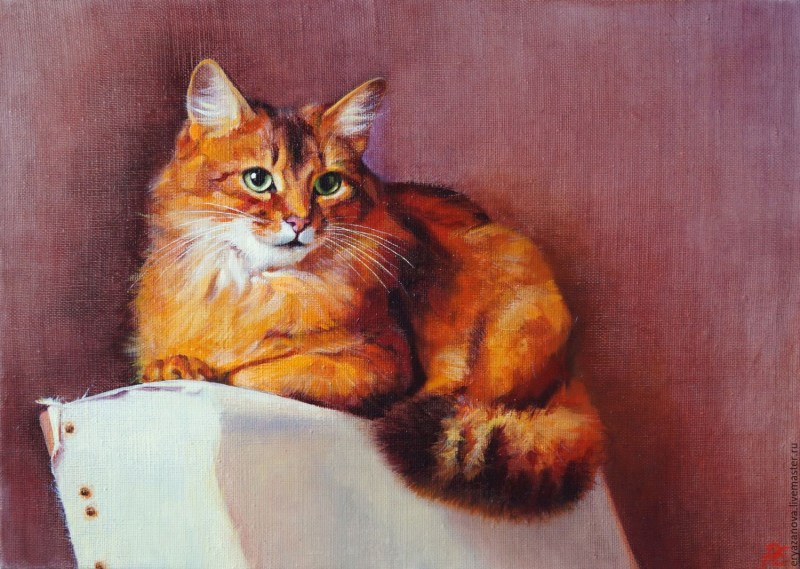 Джой Кэмпбелл коты