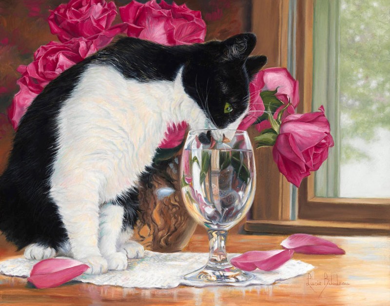 Shirley Deaville котики