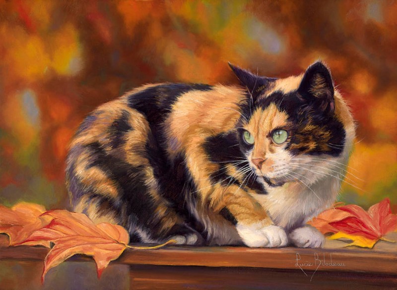 Художница Яна Мовчан кошки
