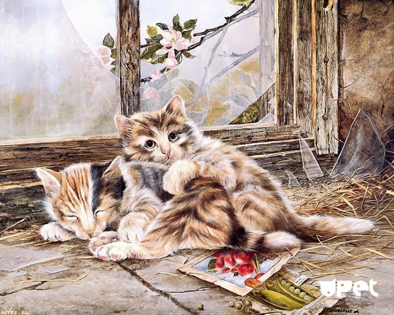 Коты в живописи