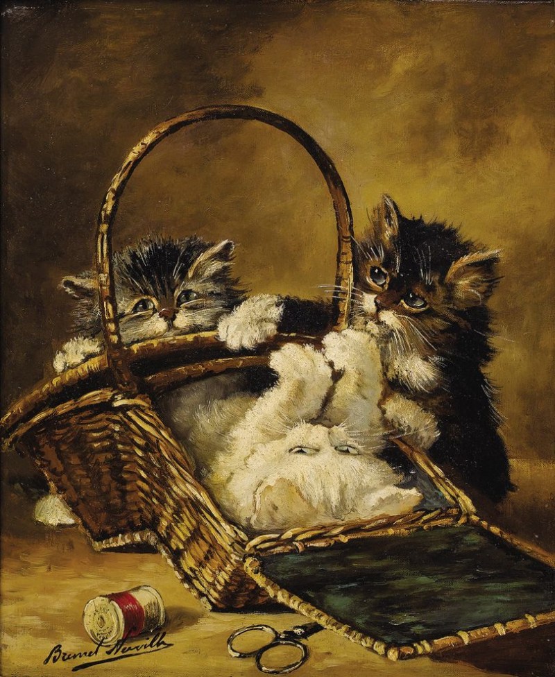 Портрет котенка